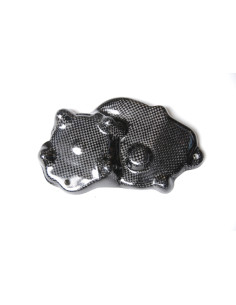 Couvre carter alternateur LIGHTECH carbone brillant Kawasaki Zx6R 2