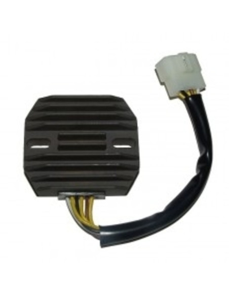 ELECTROSPORT Regulator ESR 263 ZX-6R Ninja (98-99) VN800