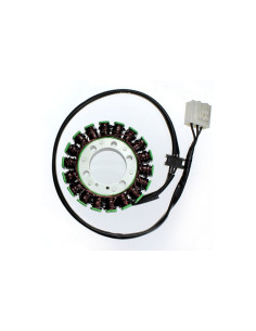 ELECTROSPORT Stator ESG 138 Kawasaki Z 1000 (10-15) 2