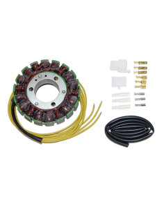 ELECTROSPORT Stator S03 2