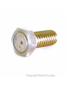 KOSO Magnet screw for brake disk (M8 x P1.25 x 29L)