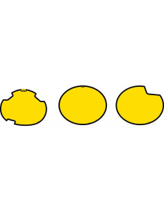 Fonds de plaques TECNOSEL Oval Kreidler Florett RS-GS 2