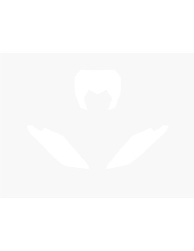 Fonds de plaque BLACKBIRD blanc Fantic XE