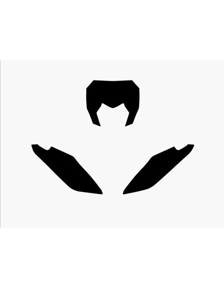 Fonds de plaque BLACKBIRD noir Fantic XX