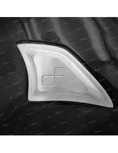 Slider alu pour protection de bras oscillant LIGHTECH carbone 2