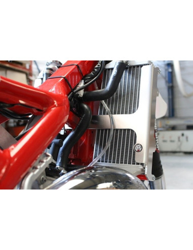 Protection de radiateur AXP aluminium - Beta RR125
