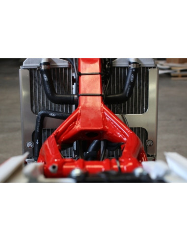 Protection de radiateur AXP aluminium - Beta RR125