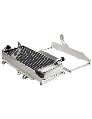 Protection de radiateur CROSS-PRO aluminium - Beta RR