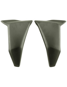 Protection de radiateur latéral LIGHTECH carbone brillant