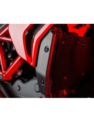 Protection de radiateur LIGHTECH carbone