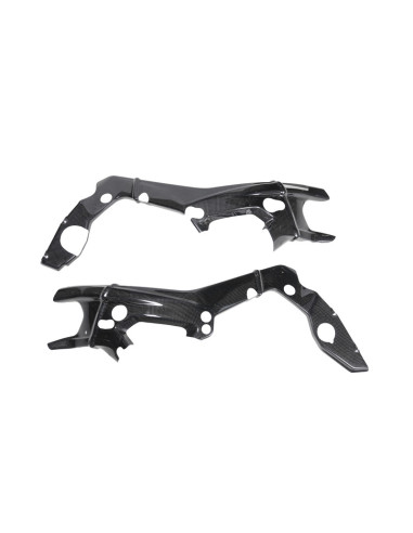 Protection de cadre LIGHTECH carbone brillant