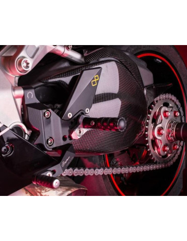 Carter de bras oscillant LIGHTECH carbone brillant