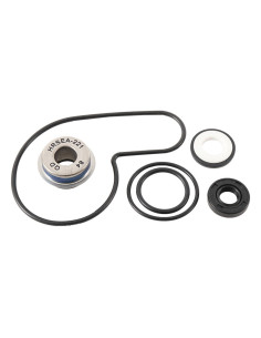 Kit réparation de pompe à eau HOT RODS 2