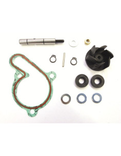 Kit réparation de pompe à eau TOP PERFORMANCES 2