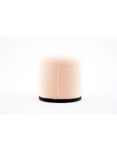 Filtre à air TWIN AIR kit Powerflow 793554 - 153911FR 793554