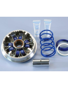 Variateur POLINI Hi-Speed - Yamaha Majesty 400/Xmax 400i 2