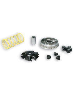 Variateur MALOSSI Multivar 2000 2