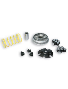 Variateur MALOSSI Multivar 2000 2