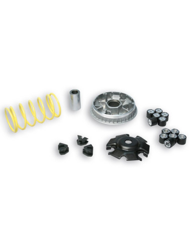 Variateur MALOSSI Multivar 2000