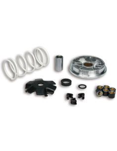 Variateur MALOSSI Multivar 2000 - scooter 50 4T 2