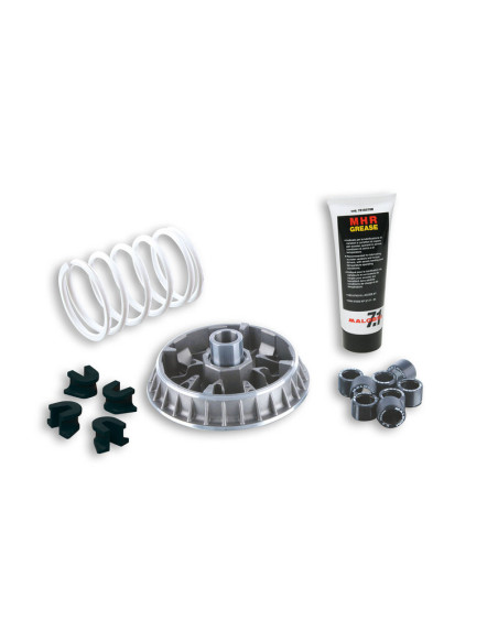 Variateur MALOSSI Multivar 2000