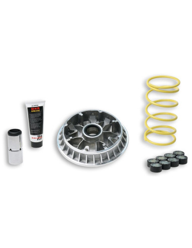 Variateur MALOSSI Multivar 2000 - Suzuki Burgman 400 K7-K9 ie