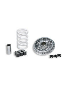 Variateur MALOSSI Multivar 2000