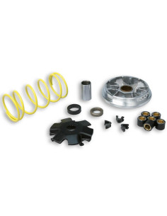 Variateur MALOSSI Multivar 2