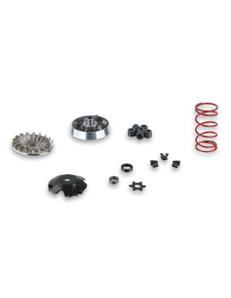 Variateur MALOSSI Multivar - Yamaha-MINARELLI