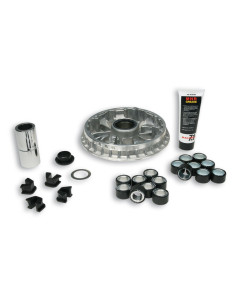 Variateur MALOSSI Multivar 2000