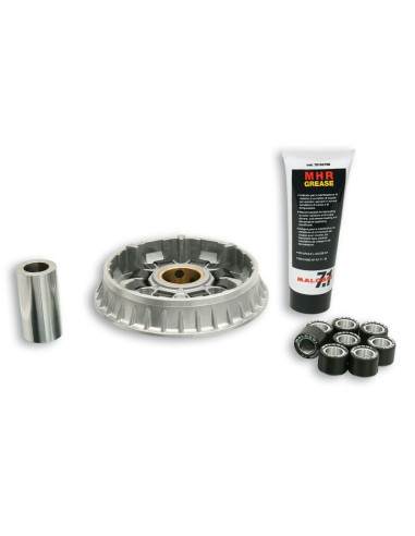 Variateur MALOSSI Multivar 2000