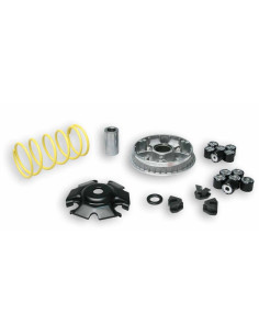 Variateur MALOSSI Multivar 2000 (moteur GY6)