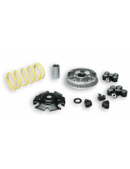 Variateur MALOSSI Multivar 2000 (moteur GY6)