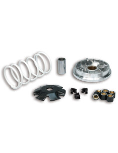 Variateur MALOSSI Multivar 2000 - Honda 50 ie T4 2