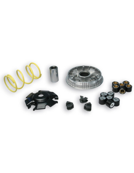 Variateur MALOSSI Multivar 2000 - Honda