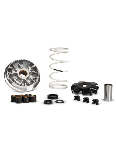 Variateur MALOSSI Multivar 2000