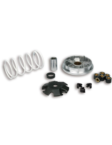 Variateur MALOSSI Multivar 2000 - Peugeot