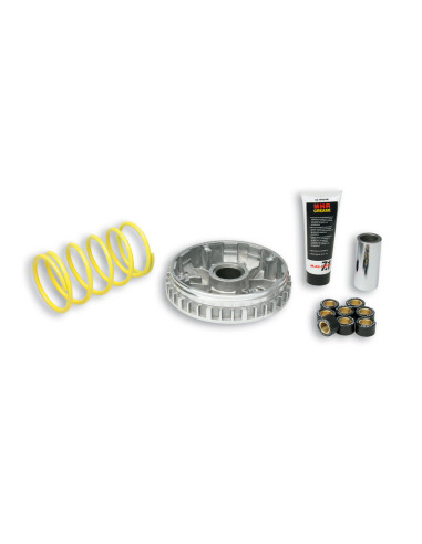 Variateur MALOSSI Multivar 2000