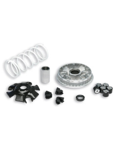 Variateur MALOSSI Multivar 2000 - Suzuki