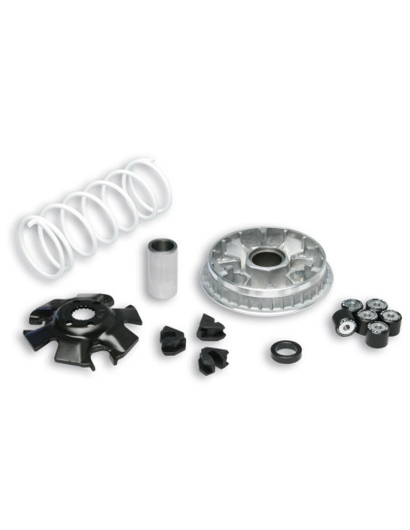 Variateur MALOSSI Multivar 2000 - Suzuki