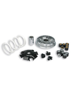 Variateur MALOSSI Multivar 2000