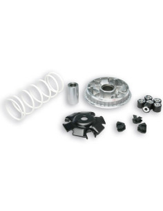 Variateur MALOSSI Multivar 2000