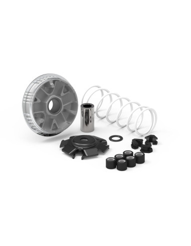 Variateur MALOSSI Multivar 2000 - Kymco