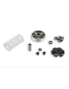 Variateur MALOSSI Multivar 2000 2