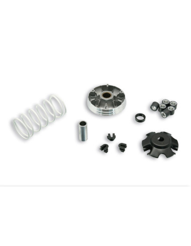 Variateur MALOSSI Multivar 2000