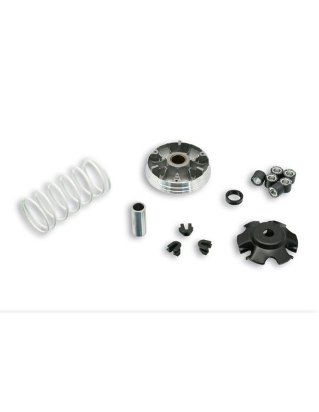 Variateur MALOSSI Multivar 2000