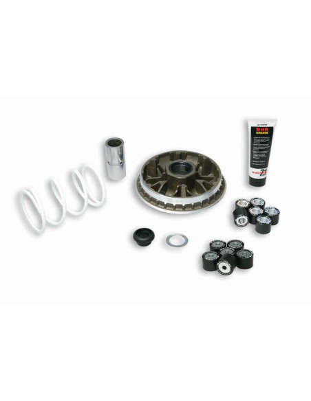 Variateur MALOSSI Multivar 2000 Honda