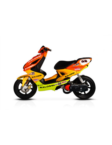 Couvercle de filtre à air MALOSSI vis incluses Couvercle de filtre à air MALOSSI vis incluses