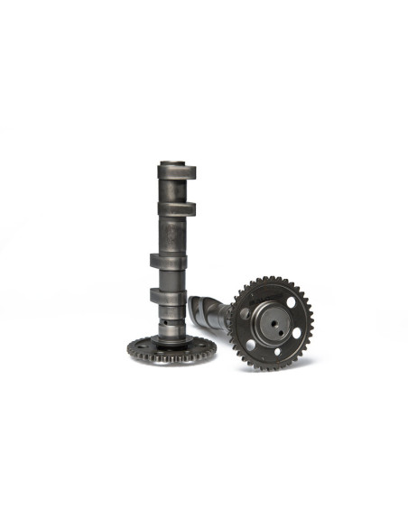 Arbre à cames MALOSSI Power Cam