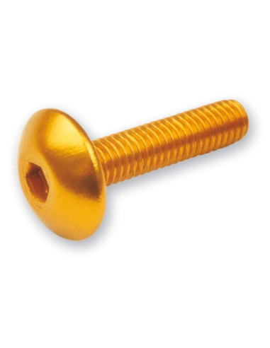 V PARTS screw allen M6x20 Gold